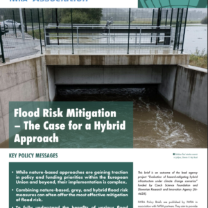 IWRA Policy Brief Nº 29